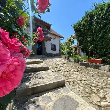 La Luiza Villa *